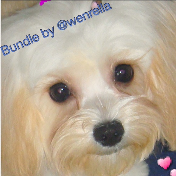 Everything has been moved to @wenrella closet - Picture 6 of 6